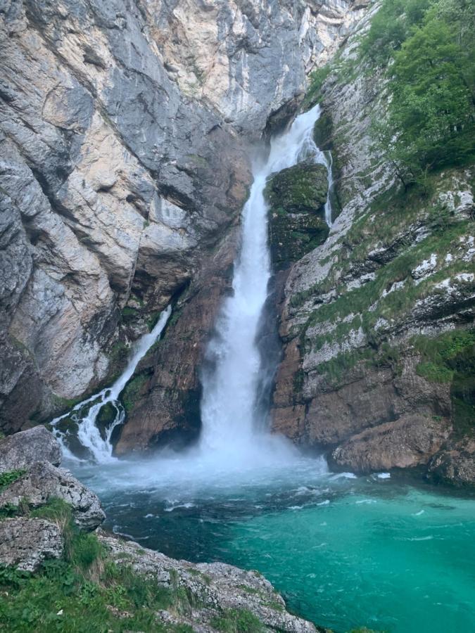 Holiday House Jereka -Bohinj Ngoại thất bức ảnh